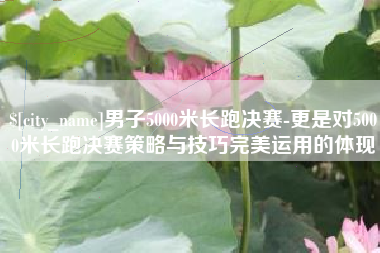石家庄男子5000米长跑决赛-更是对5000米长跑决赛策略与技巧完美运用的体现