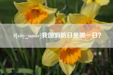 石家庄我国消防日是哪一日？