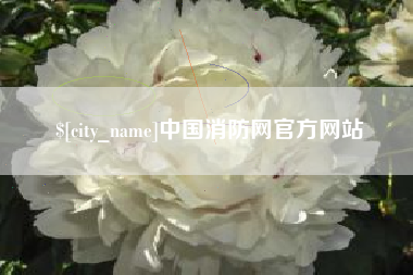 石家庄中国消防网官方网站