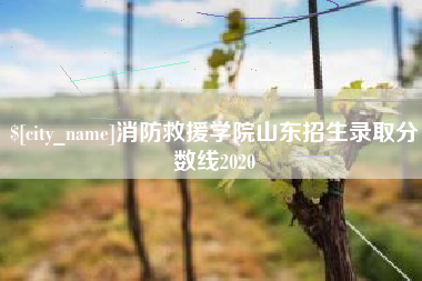 石家庄消防救援学院山东招生录取分数线2020