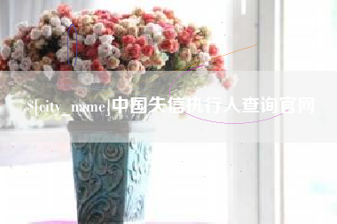 石家庄中国失信执行人查询官网