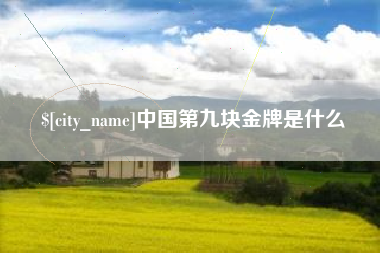 石家庄中国第九块金牌是什么