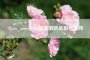 石家庄2021国家消防员报名官网