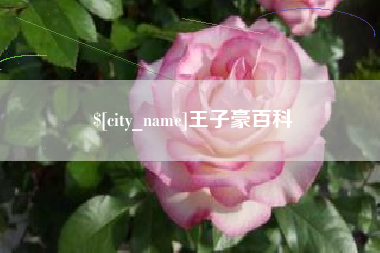 石家庄王子豪百科