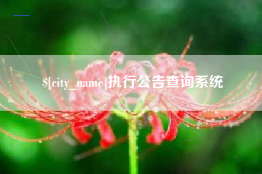 石家庄执行公告查询系统