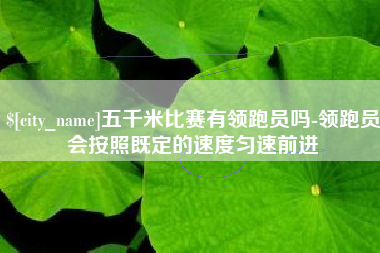 石家庄五千米比赛有领跑员吗-领跑员会按照既定的速度匀速前进