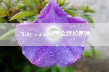石家庄中国金牌都是啥