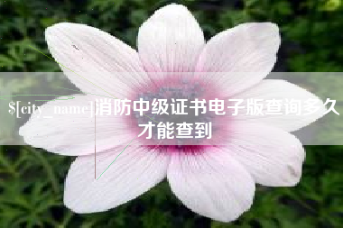 石家庄消防中级证书电子版查询多久才能查到