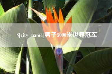 石家庄男子5000米世界冠军