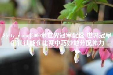 石家庄5000米世界冠军配速-世界冠军们往往能在比赛中巧妙地分配体力