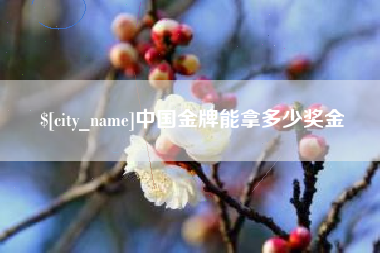石家庄中国金牌能拿多少奖金