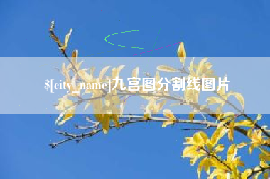 石家庄九宫图分割线图片