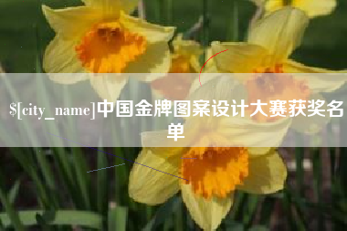 石家庄中国金牌图案设计大赛获奖名单