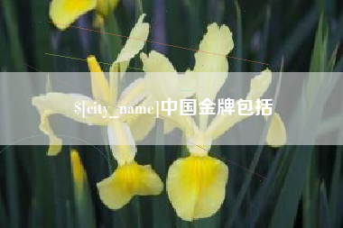 石家庄中国金牌包括
