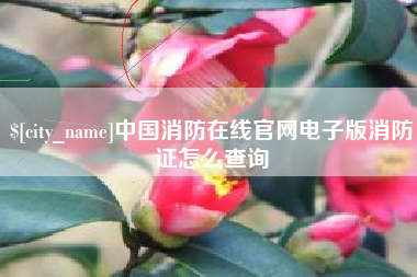 石家庄中国消防在线官网电子版消防证怎么查询