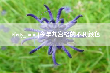 石家庄今年九宫格的不利颜色