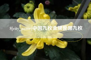 石家庄中国九枚金牌是哪九枚