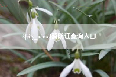石家庄消防证查询入口