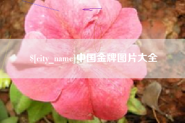 石家庄中国金牌图片大全