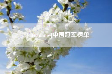 石家庄中国冠军榜单