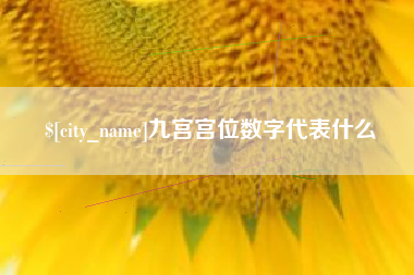 石家庄九宫宫位数字代表什么