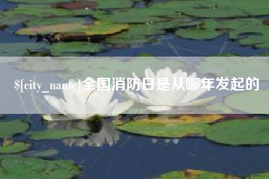 石家庄全国消防日是从哪年发起的