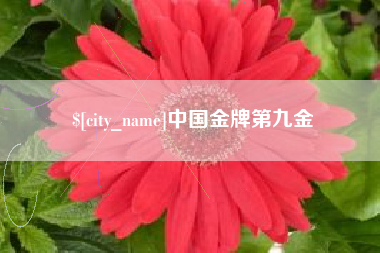 石家庄中国金牌第九金