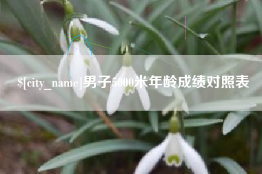 石家庄男子5000米年龄成绩对照表