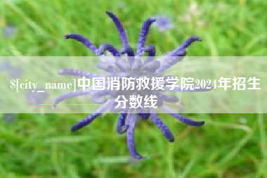石家庄中国消防救援学院2024年招生分数线