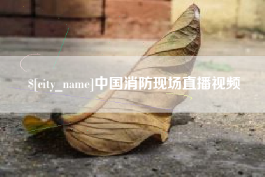 石家庄中国消防现场直播视频