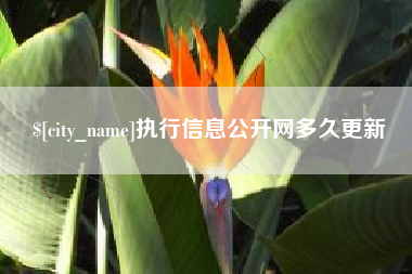 石家庄执行信息公开网多久更新