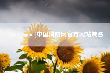 石家庄中国消防网官方网站域名