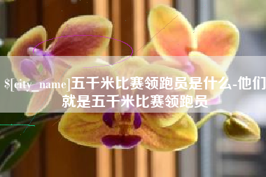 石家庄五千米比赛领跑员是什么-他们就是五千米比赛领跑员