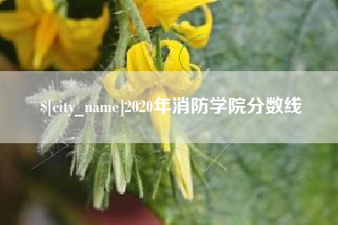 石家庄2020年消防学院分数线