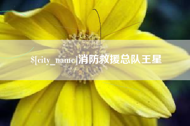 石家庄消防救援总队王星