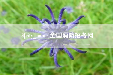 石家庄全国消防招考网