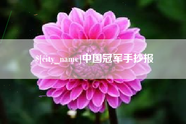 石家庄中国冠军手抄报
