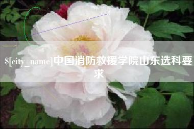 石家庄中国消防救援学院山东选科要求