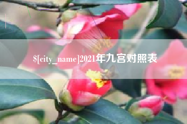 石家庄2021年九宫对照表