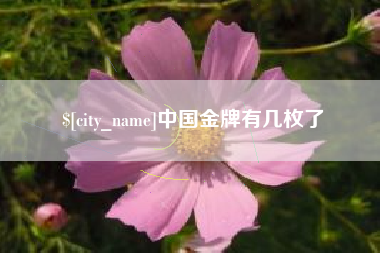 石家庄中国金牌有几枚了