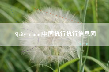 石家庄中国执行执行信息网