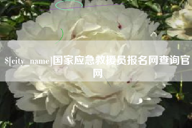 石家庄国家应急救援员报名网查询官网