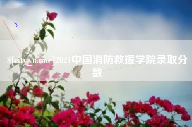 石家庄2021中国消防救援学院录取分数