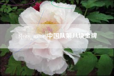 石家庄中国队第八块金牌