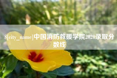 石家庄中国消防救援学院2021录取分数线