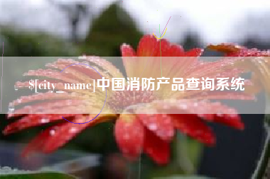 石家庄中国消防产品查询系统