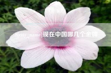 石家庄现在中国哪几个金牌