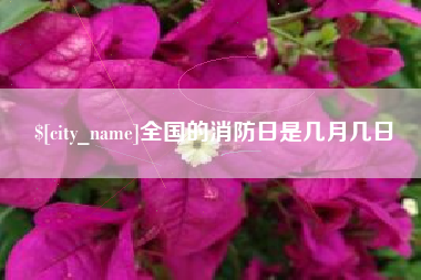 石家庄全国的消防日是几月几日