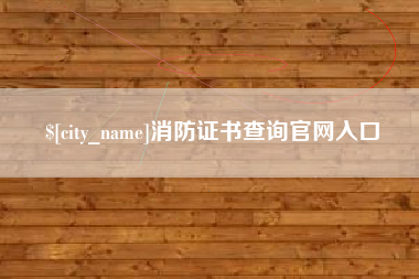 石家庄消防证书查询官网入口