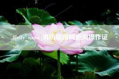 石家庄消防证国网查询操作证